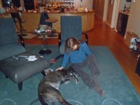 OLYMPUS DIGITAL CAMERA