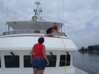 07 Fighting mayflies