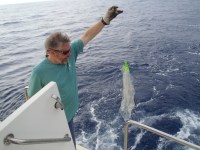 08 Leanne’s Bag – it put up a good&nbsp;fight!