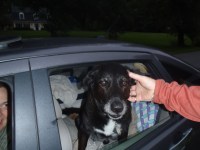 04 Jordan ready to leave on his great adventure with&nbsp;Meg