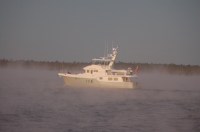 11 Sweetie on a foggy morning