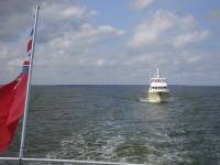 02 Madness following close on the heels of her guide&nbsp;Sweetie