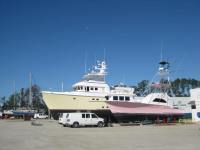 09 Our very pink&nbsp;neighbor