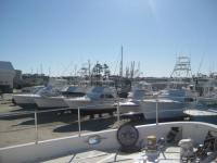 12 View from the office