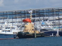 08 Theodore Too – Cute&nbsp;tug!