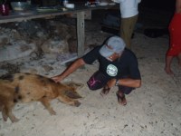 2012-05-27-4 Alain Feeds pets a little piggy that showed up at the cruiser&nbsp;party