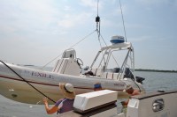 24 Rinsing the tender before lifting on&nbsp;board