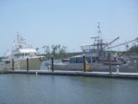 08 Nose to nose with&nbsp;Windhorse