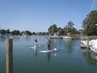 10 Liz and Aaron and their paddleboarding dog Jacqueline&nbsp;Cousteau