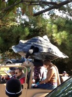 11 It is an OYSTER&nbsp;festival!