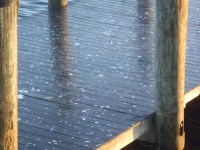 07 This is what he and his friends&nbsp;do