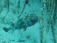 2013-01-17 Conception 096