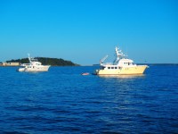 Shear Madness and Argo in&nbsp;Lunenburg