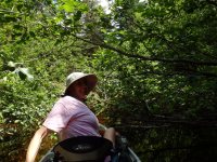 Tish on a kayak&nbsp;expedition