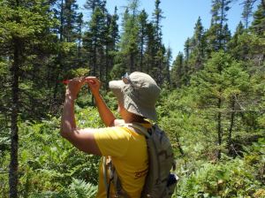 Kathy marks the trail on the wilderness hike