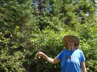 Tish finds a trail&nbsp;marker