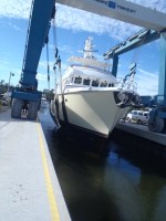 Coming out of the&nbsp;water