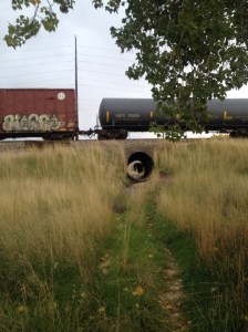Tunnel to hiking trails discovered while geocaching