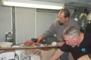 Servicing the main engines