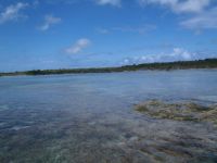 View of Fernandez&nbsp;Creek