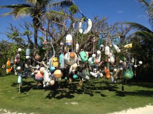 The "Bobber Tree" on Great Guana Cay
