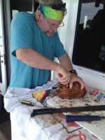 Getting into a&nbsp;coconut