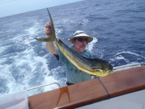 Today's fresh catch - 20 lb Mahi-mahi