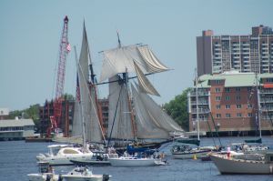 Tall ship in the Parade of Sail