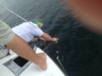 Bradley works on anchor&nbsp;roller