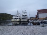 Shear Madness and Migration rafted up