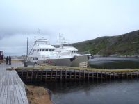 Shear Madness and Migration rafted&nbsp;up