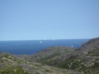 Icebergs dot the&nbsp;sea