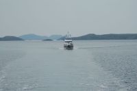 Migration underway through Squasho&nbsp;Run