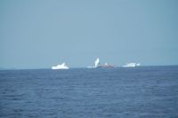 The Ice Cream Cone and other&nbsp;bergs