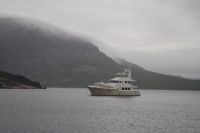 Migration in the&nbsp;fog