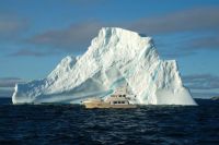 Migration poses in front of an&nbsp;beauty