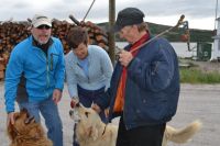 Plenty of Goldens, but no Labs so&nbsp;far