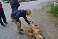 Marci being a traitor – don’t tell Gulliver!