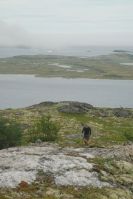 Bradley climbing the hill at Eagle&nbsp;Cove