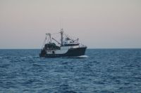 Newfoundland Storm about to drop off our&nbsp;fish