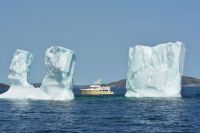 Shear Madness and a fabulous iceberg (photo by Marci/Migration)