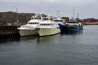 Shear Madness and Migration with fishing boats at&nbsp;wharf