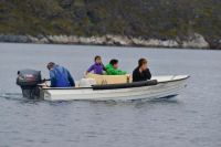 Locals going seal-hunting