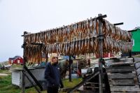 Drying rack – these fish are used for dog&nbsp;food
