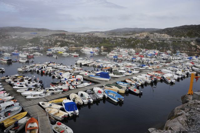 Ilulissat Inner Harbor (Photo by Steve D'Antonio