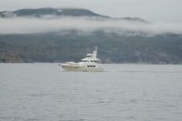 Migration arriving at&nbsp;Torngat