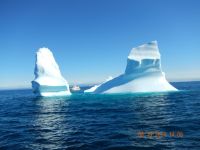 Shear Madness looks very small