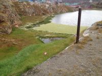 There is plenty of Green in&nbsp;Greenland!