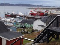 Shear Madness and Migration at the dock in&nbsp;Aasiaat