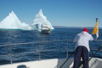 Matt takes some photos of&nbsp;Migration